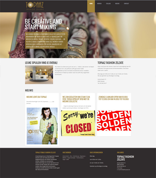 topaaz website homepage in WordPress